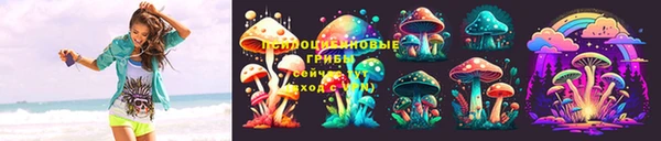 стаф Белоозёрский