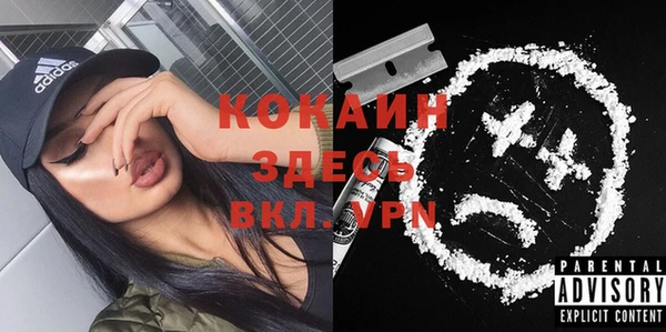 прущие грибы Белокуриха