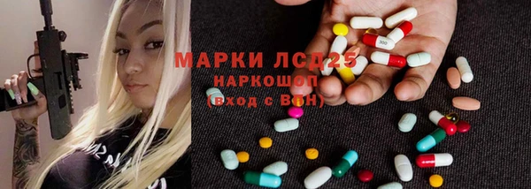 прущие грибы Белокуриха